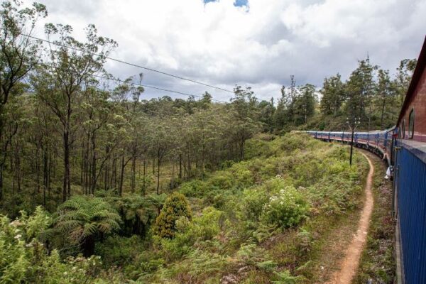 The Ella Odyssey Train - A rail experience not to be missed!