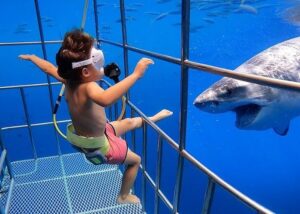 Shark Cage-Diving with Kids- Why This Mom Doesn't Want Her Children to Live in Fear