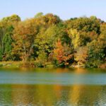 Ohio Stunning Fall Foliage - Top 5 Road Trips to See Autumn Colors in the Midwest