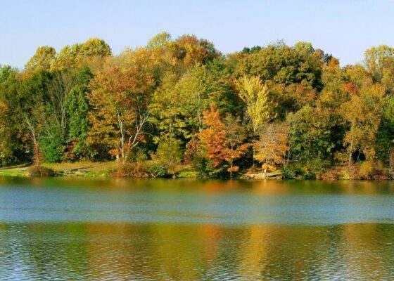 Ohio Stunning Fall Foliage - Top 5 Road Trips to See Autumn Colors in the Midwest